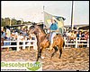 primeira exposicao agro-pecuaria(1988)cavalgada2.jpg