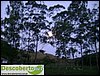 DSC02955.JPG