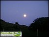 DSC02956.JPG