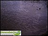 DSC03152.jpg