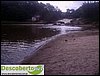 DSC03153.jpg