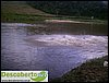 DSC03156.jpg