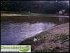 DSC03157.jpg