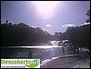 DSC03166.jpg