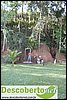 DSC03167.jpg
