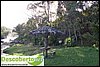 DSC03169.jpg