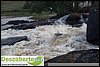 DSC03176.jpg