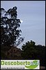 DSC03178.jpg