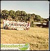 Fonsequinha F.C.jpg