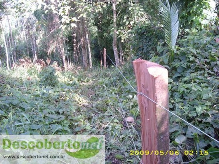 cercas de arame liso no interior da reserva (3).JPG