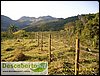 Cercas de arame farpado em area reincorporada (Sr Luis) (2).JPG
