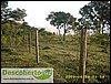 Cercas de arame farpado em area reincorporada (Sr Luis) (3).JPG