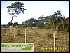 Cercas de arame farpado em area reincorporada (Sr Luis) (6).JPG