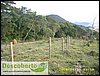 Cercas de arame farpado em area reincorporada (Sr Luis) (7).JPG