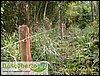 cercas de arame liso no interior da reserva (1).JPG