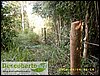 cercas de arame liso no interior da reserva (2).JPG