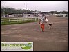 Parque de Exposicoes Agropecuaria (27).JPG