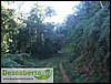 DSCF9049.JPG