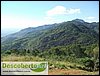DSCF9074.JPG