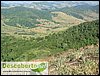 DSCF9084.JPG