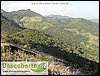 SDC15728.JPG