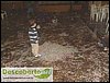 SDC10706.JPG