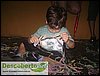 DSC00516.JPG