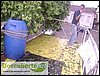 DSC00343.JPG