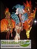 DSC01100.JPG