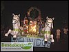 DSC01203.JPG