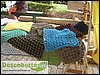 SDC14364.JPG