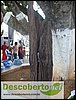 SDC14392.JPG