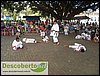 SDC14637.JPG