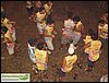 SDC10328.JPG