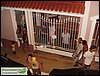 SDC10374.JPG