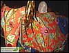 SDC10827.JPG