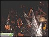 SDC10852.JPG