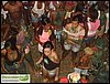 SDC10642.JPG