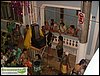 SDC10717.JPG