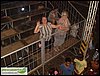 SDC10731.JPG