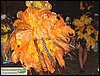 SDC12773.JPG