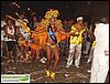 SDC12782.JPG