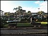 100_4123.JPG