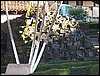 100_4143.JPG