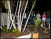 100_9385.JPG