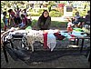 100_9702.JPG