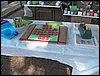 100_9726.JPG