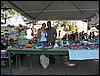 100_9732.JPG