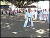 100_9768.JPG