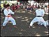 100_9770.JPG